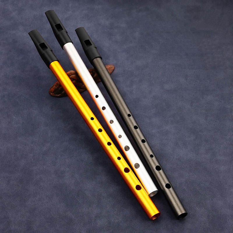 Penny Whistle D - 1PC Flauta Irlandesa Auténtica, Whistle de