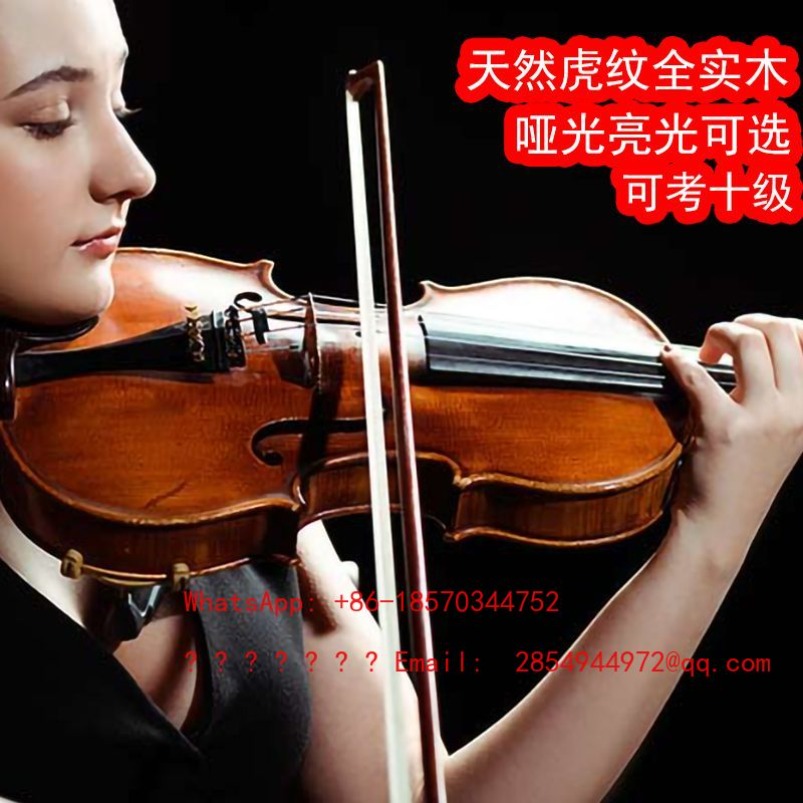 Musical Instrument Net - Violín Profesional de Grado Musical, Instrumento