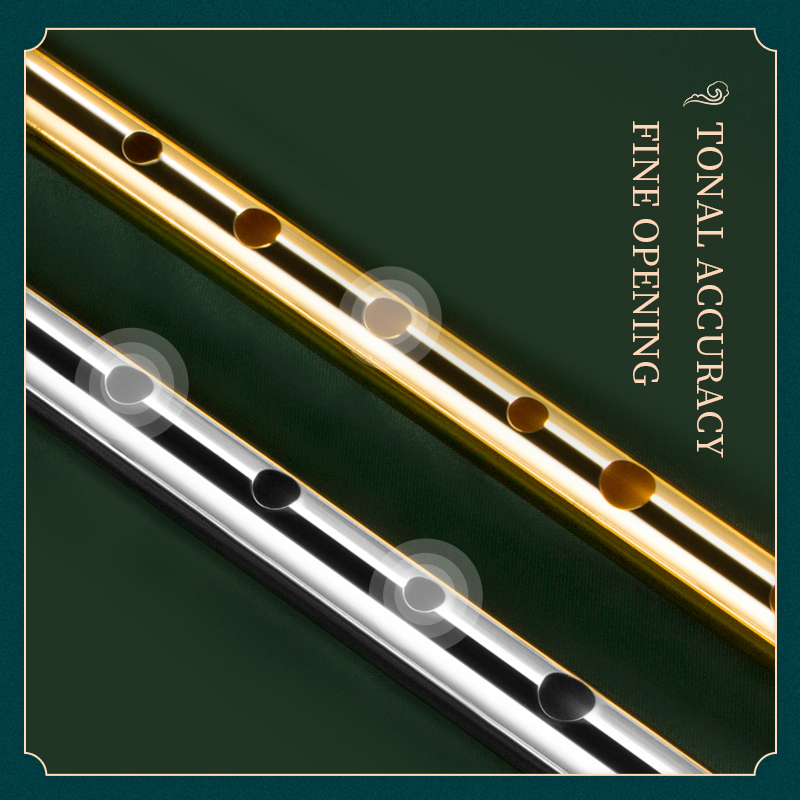Flauta con silbato irlandés pa - Penny Whistle D reseña y precio