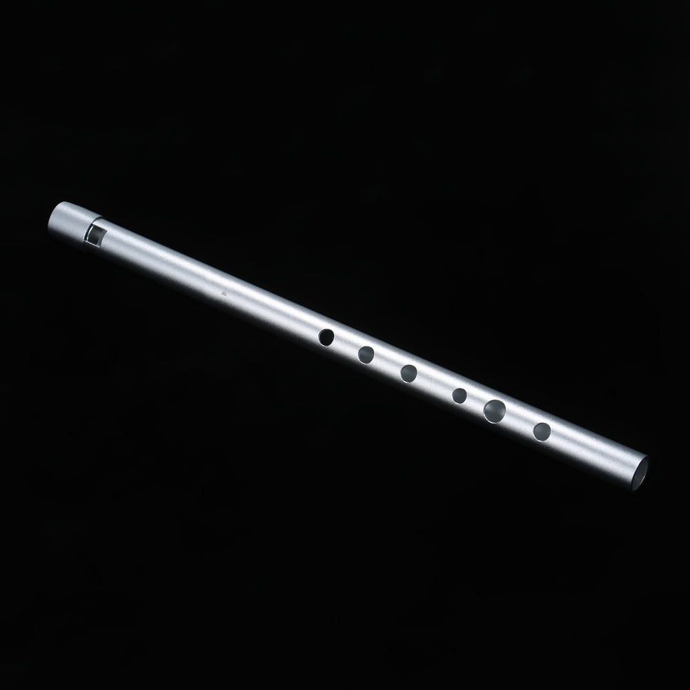 Flauta Irlandesa Premium en to - Penny Whistle D reseña y precio