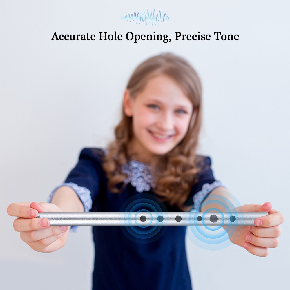Flauta Irlandesa Profesional e - Penny Whistle D reseña y precio