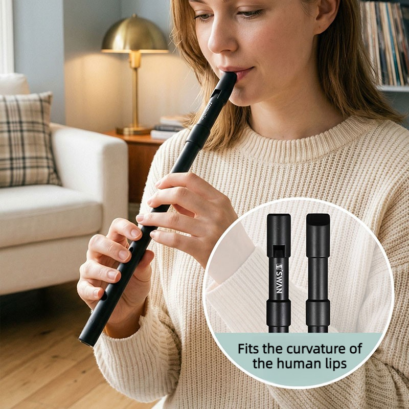 Flauta de Tin Whistle en Clave - Penny Whistle D reseña y precio